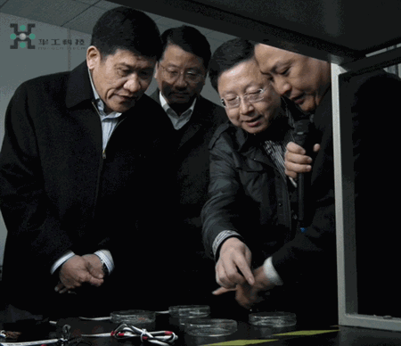 ballbet������(�й�)����ɭ����